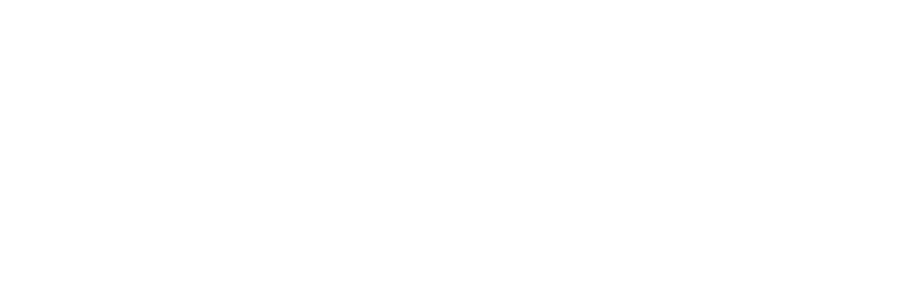 Zundo